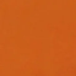 & Other Stories Original Ochre Nagellack