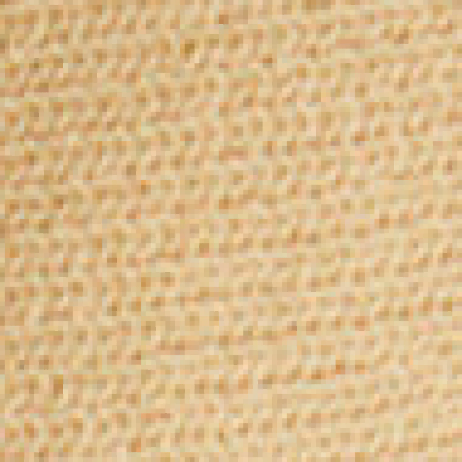 & Other Stories Poloshirt aus Pointelle-Strick