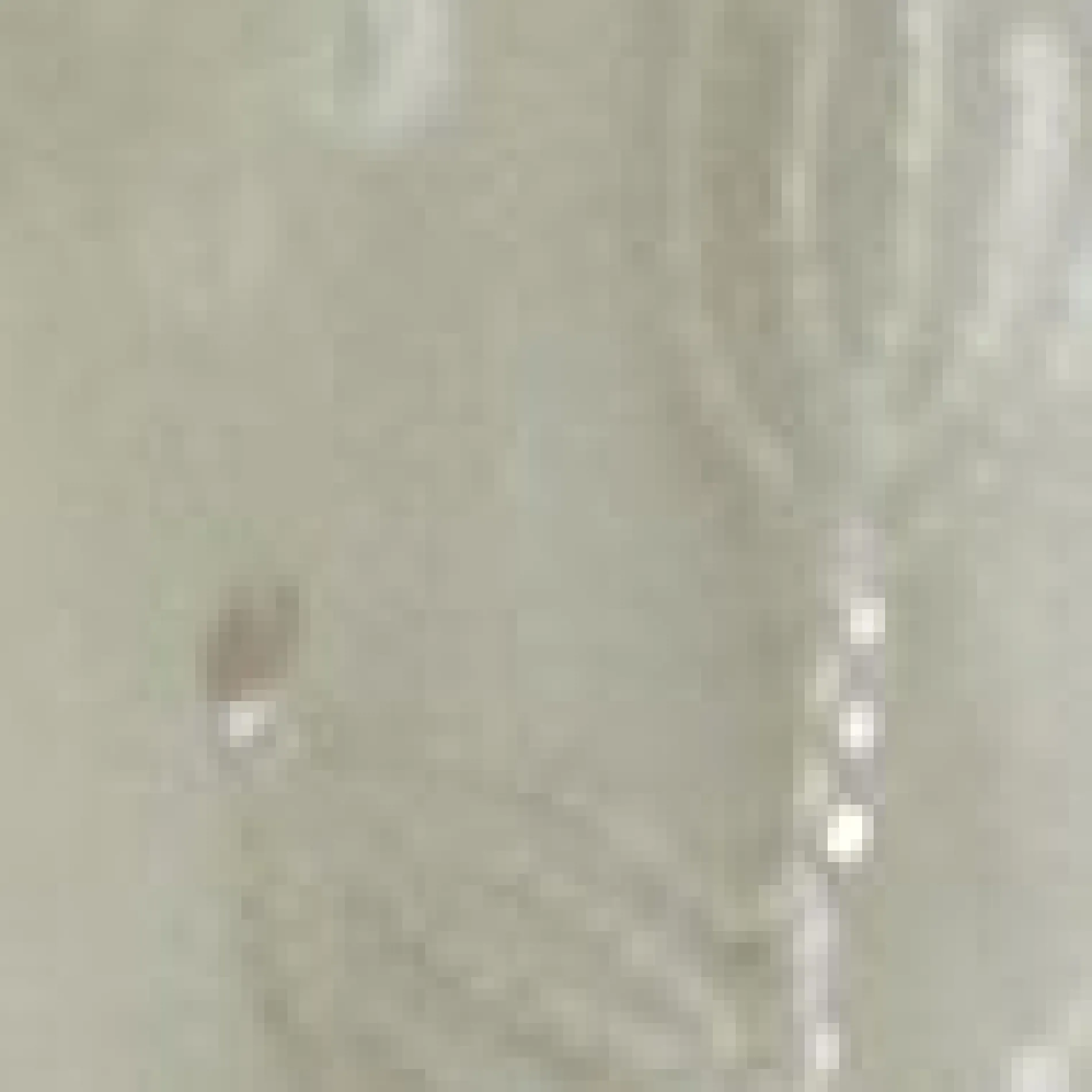 & Other Stories Transparente Organza-Bluse mit Stickerei